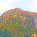 길도(죽도) Daum카페
