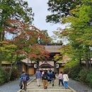 교토의 東寺. 법륭사& 광륭사 이미지