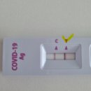 강남성모이비인후과의원 이미지