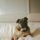 강서구-1 이미지