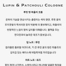 위즈앤 이미지
