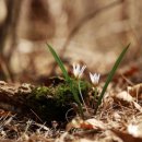 고남저수지 이미지