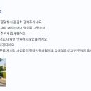 데일리모터스 이미지