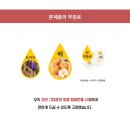 케이제이통상