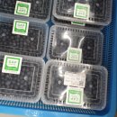 매대농장 이미지