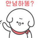 사개절 펫살롱 이미지