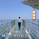 이마트24삼척교동점 | 삼척 해상스카이워크 주차 소망의탑 포토존 가볼만한곳