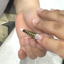 네일주디