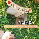 애견호텔 나무야 | 양산 애견호텔 양산 애견카페 "누꼬누꼬" 넓은 운동장 애견카페 이용 후기