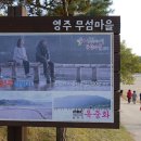 [지자체지원] 문경새재 단풍 길 &amp; 영주 힐링여행 11월01일(토)~02일(일)/1박2일 신청해 주세요 이미지