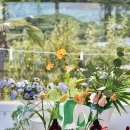 위즈코퍼레이션 이미지