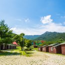 도림사오토캠핑리조트 이미지