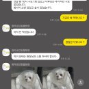 청라공감동물병원 이미지