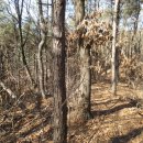 백암초등학교수정분교장 이미지