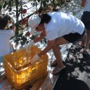 용계(당그래) 이미지