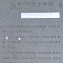 성읍리 느티나무 및 팽나무군 | 천연기념물 제161호 - 제주 성읍리 느티나무 및 팽나무군