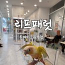 롯데마트광복점 | 아이랑 부산 앵무새 분양 체험 카페 리프패럿 롯데마트광복점
