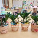 안동자연유치원 이미지