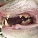 도희동물병원 이미지