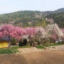 미수향 - 김해시 함박로101번길 20 | 미수향