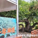 천안문반점 | 중국 매리설산 자유여행 2