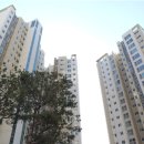 태영아파트 사거리 이미지