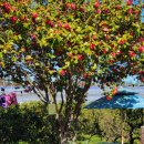 새롬민박 | 제주독채숙소 지호네민박 1호점, 제주감성 제대로!