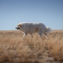 골프존파크 광교 광교역점 이미지