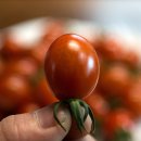 부농 농장 이미지