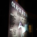 미스터지브라