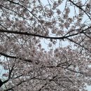 시화성모의원 이미지