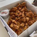 월리584 | [월리584] 강원도 양양. 마당이 있는 역대급 단독펜션 feat.내돈내산