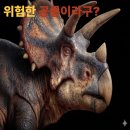 트리케라톱스-3 | 트리케라톱스 특징 완전 정리, 생각보다 훨씬 위험한 공룡