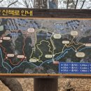 봉산 편백숲 공중화장실 이미지