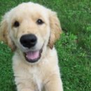 24시김승현외과동물메디컬센터 이미지