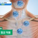 마늘이 보약보다 좋은 이유는 이미지