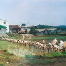 최재신 | 결성면 성남리 중리마을 - 마을 톺아보기