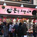 못된고양이 Daum카페
