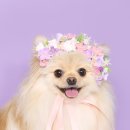 주토피아스튜디오 이미지