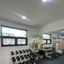 임스타핏 이미지