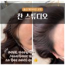 도호1길 | 울산 헤어라인 교정 언양 찬스튜디오 두피 smp 잘하는 곳