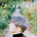 봄 설레임 콘서트 이미지