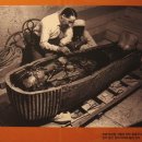 ★이집트 신비의 파라오 투탕카멘(Tutankhamun)★ 이미지