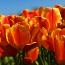 가자농장 이미지