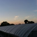 오진농장 이미지