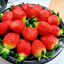 영신청과 이미지