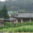 효부성씨비 이미지