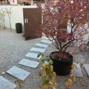 소온 | 가오픈 신상베이커리카페 소온도 방문후기