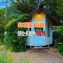 제주하랑 | 김해 카페 어디 갈까? 제주 감성 카페모하 브런치 후기