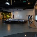 백두대간 전시관 이미지